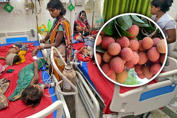 Over 100 Children Die in Bihar Due to Encephalitis