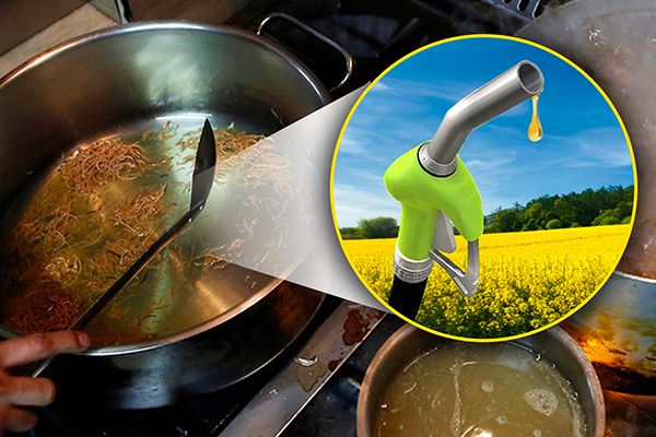 Govt to Use ‘Leftover Cooking Oil’ to Make Biodiesel