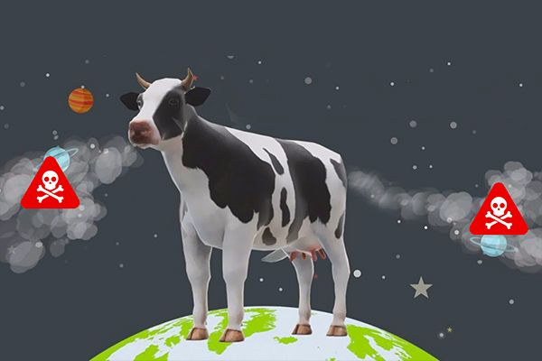 Cow Farts Causing Climate Change