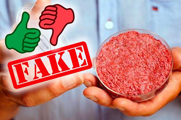 IIT-Guwahati Develops Fake Meat