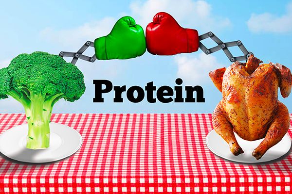 Top Protein Sources For Vegetarians