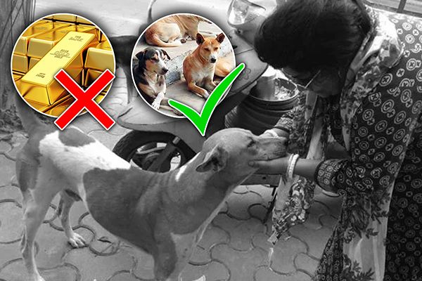 Woman Sells Off Jewellery to Feed Dogs