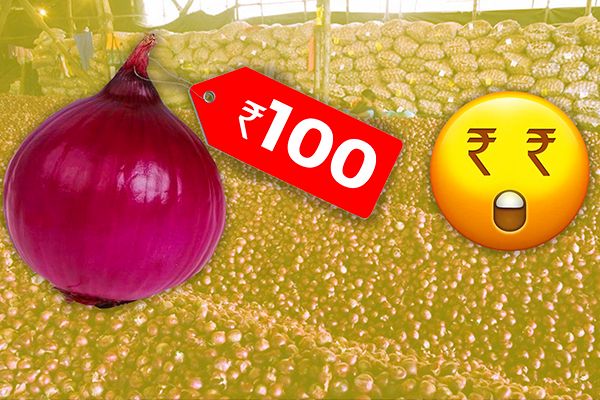 Why are Onions so Expensive?
