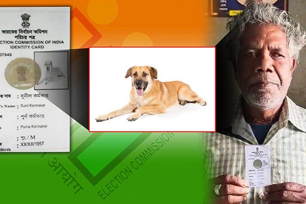Man Issued Voter ID with Dog’s Photo