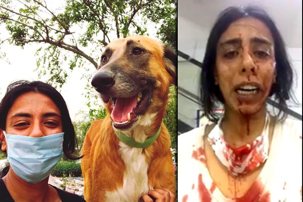 Delhi Woman Beaten For Feeding Dogs