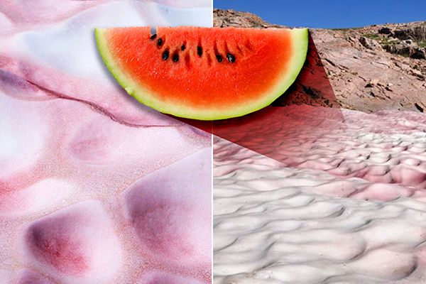 ‘Watermelon Snow’ Covers Italian Mountains