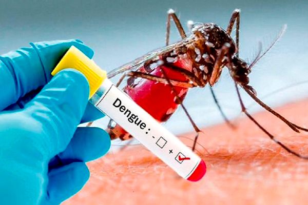 Tips to Protect Against Dengue