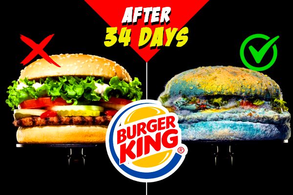 Burger King launches Preservative Free Burger