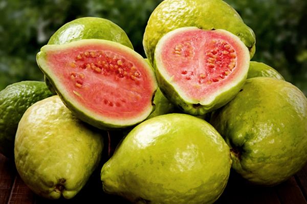 5 Health Benefits of Guava