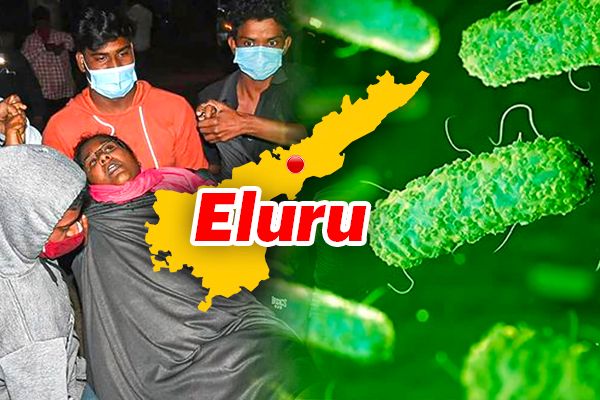Mysterious Disease Sickens 292 In Andhra Pradesh
