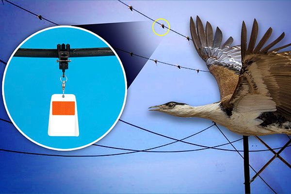 Firefly Bird Diverters to Save Great Indian Bustard Bird