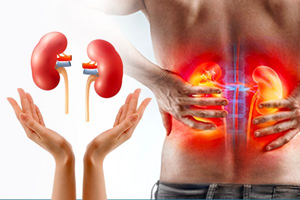 Golden Rules To Keep Kidneys Healthy