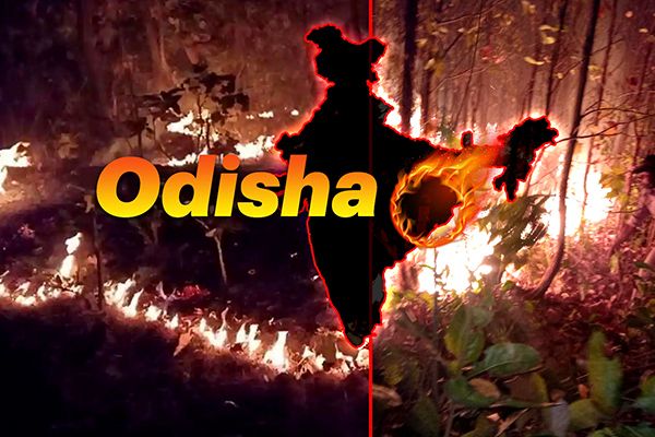Forest Fires Rage in Odisha’s Similipal
