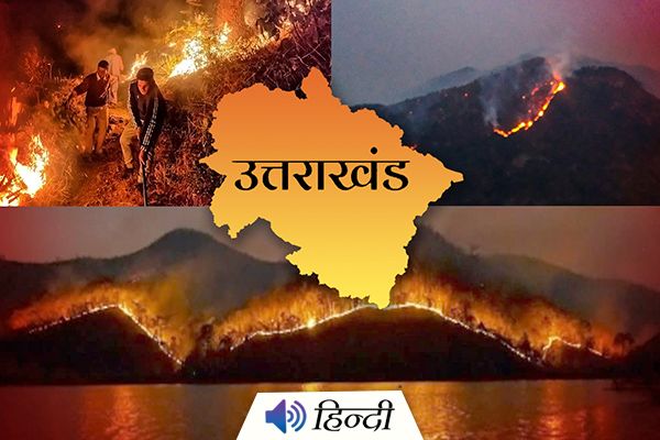 40 Active Fire Destroy Uttarakhand