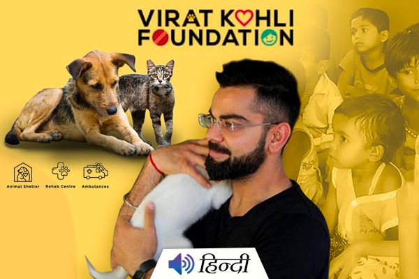Virat Kohli Sets up Two Animal Shelters in Mumbai