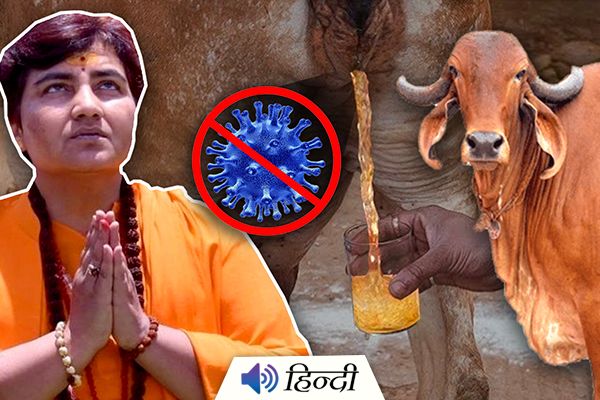 Pragya Thakur Says ‘Cow Urine’ Effective Against COVID