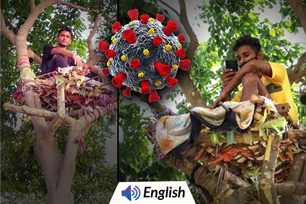 Telangana Man Turns Tree Into ‘Isolation Ward’
