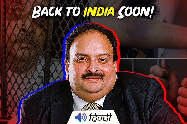 Mehul Choksi While on Dominica Trip with Girlfriend Arrested