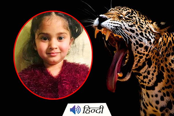 Girl Killed By Leopard At Birthday Party