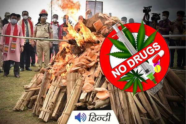 Assam CM Burns Drugs Worth Rs 163 Crore