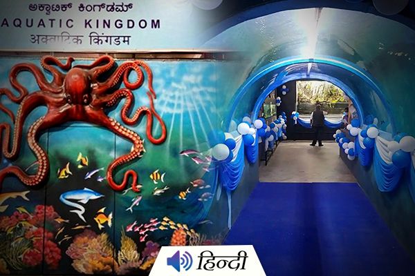 Tunnel Aquarium Opens at Bengaluru Railway Station