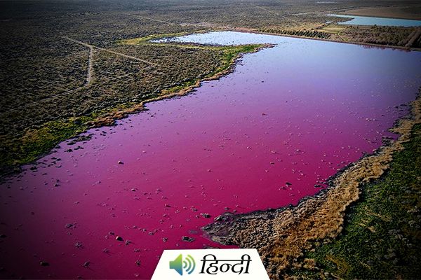 A Lake in Argentina Turns Pink in Colour