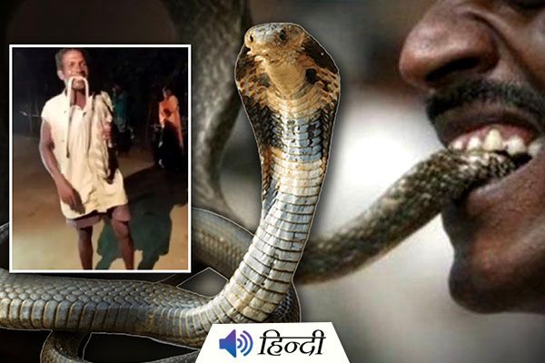 Odisha Man Bites Snake to Death