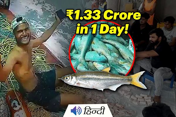 Palghar Fisherman Sell Ghol Fish for Rs 1.33 Crore