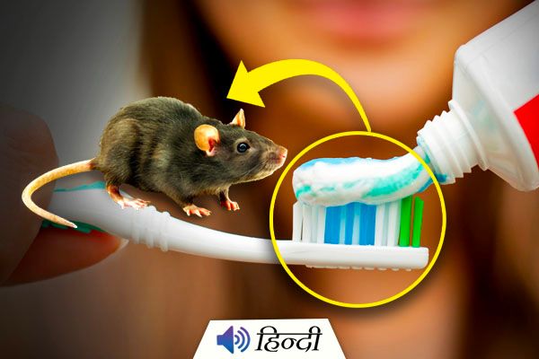 18 yr Old Dies After Brushing Teeth with Rat Poison