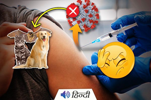 Thane Man Mistakenly Jabbed for Rabies Instead of Covid-19