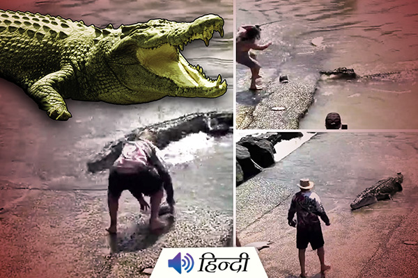 Fisherman Fights 4 Meter Long Crocodile To Save Son’s Hat
