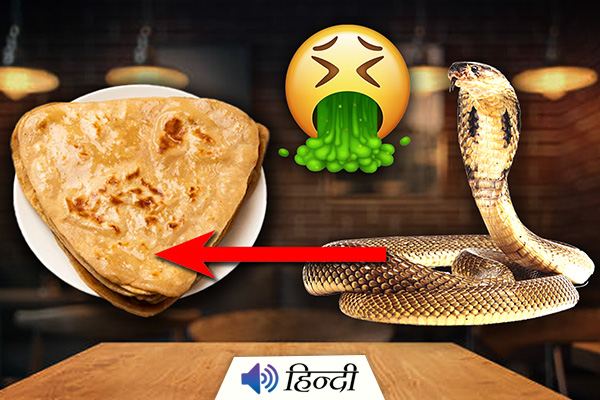 Customer From Kerala Found Snake Skin In Food