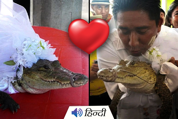 Mexican Mayor Married a 7 Year Old Alligator