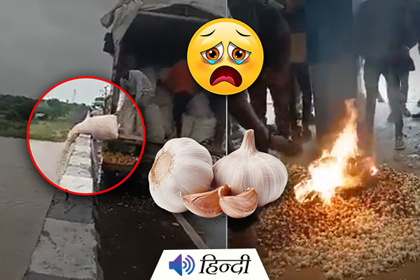 Madhya Pradesh: Farmers Throw Garlic Crop Into River