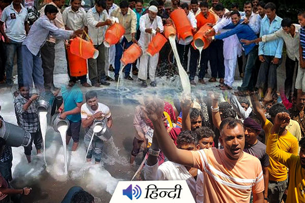 Gujarat: Maldhari Community Milk Strike