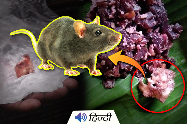 Rat's Head Found in Food Parcel from a Vegetarian Restaurant