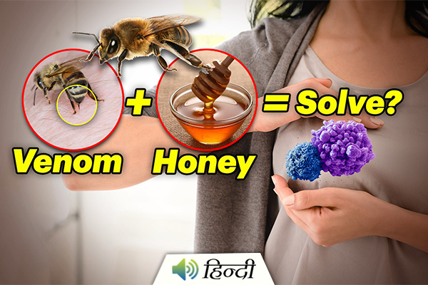 Honey Bee Poison Might End Breast Cancer?