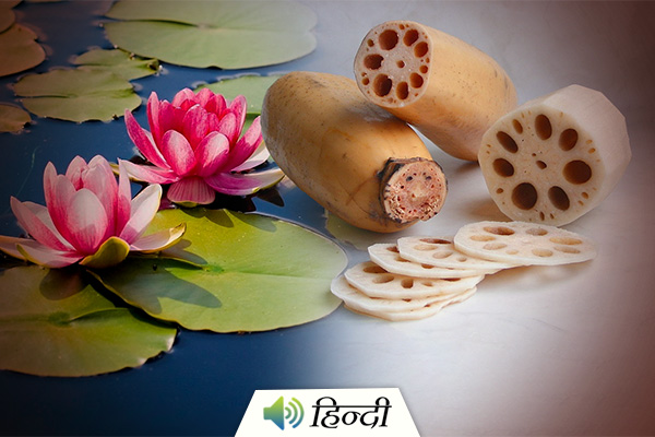 5 Health Benefits of Lotus Root (Kamal Kakdi)