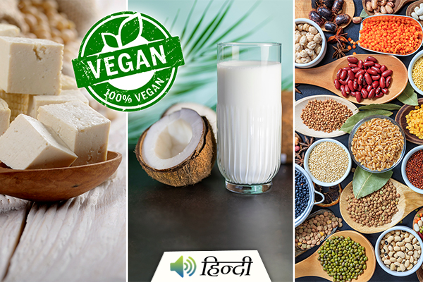 5 Vegan Protein Everyone Should Know About