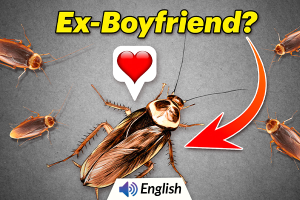 Zoo Allows You to Name a Cockroach After Your Ex