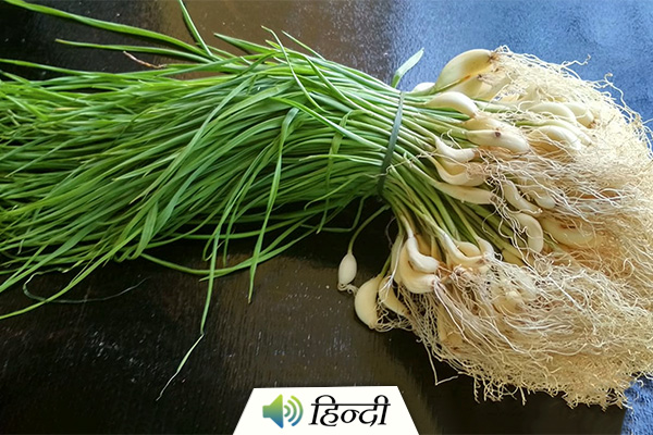 Health Benefits of Green Garlic
