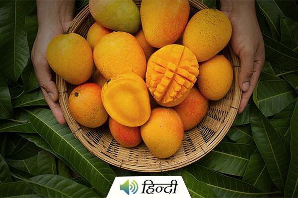 5 Health Benefits of Mangoes