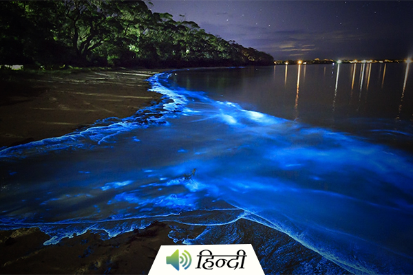 Magical Glowing Beaches in India
