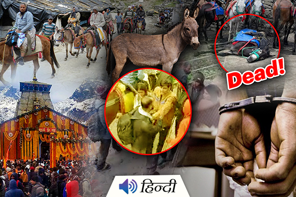 Mule Operators in Kedarnath Clash With Devotees