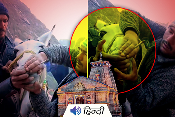 Horse Forced To Smoke In Kedarnath Yatra