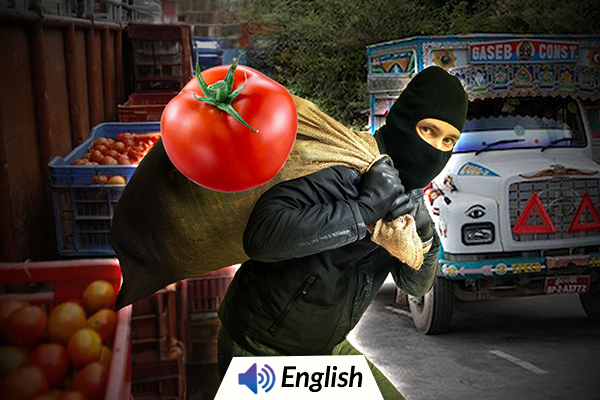 Thieves Steal Truck Full of Tomatoes Worth Rs. 2.5-3 lakh
