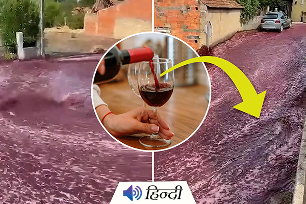 River of Wine Flowed Through a Portuguese Village
