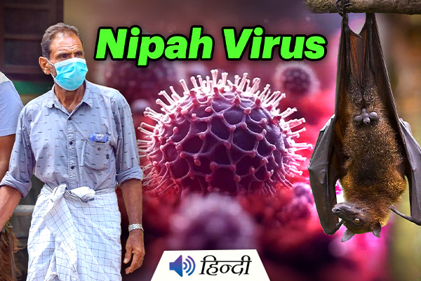 Nipah Virus: Schools, Colleges Closed in Kerala