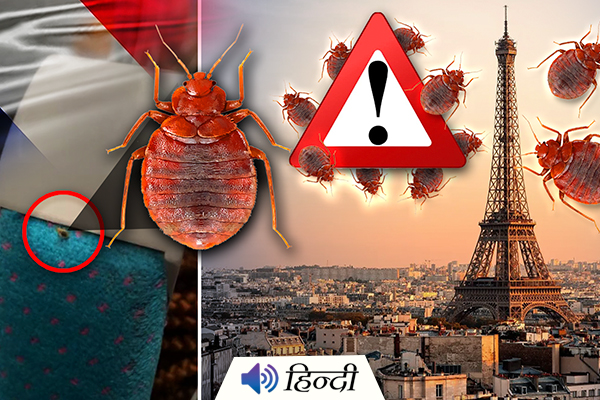 France Bed Bug Problem: Schools Shut Down