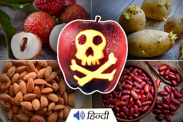 8 Poisonous Foods We Commonly Eat
